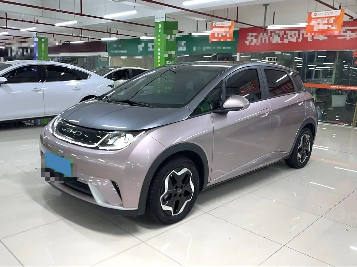 2021 BYD DOLPHIN view 1