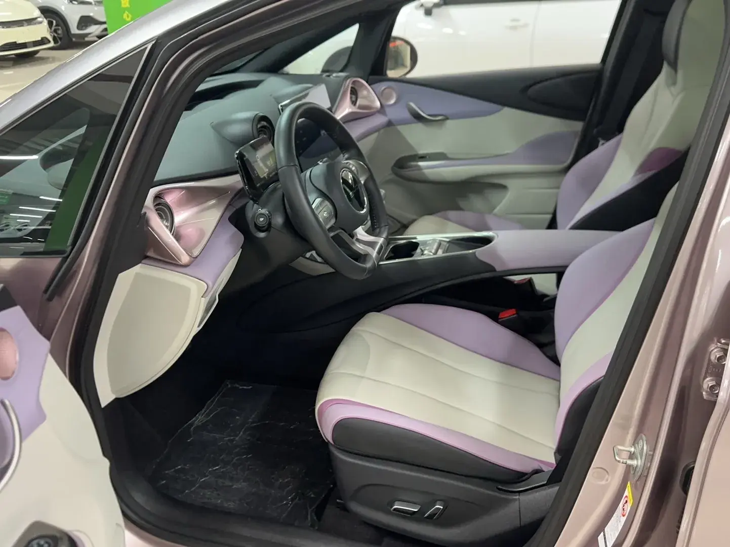 2021 BYD DOLPHIN thumbnail 3