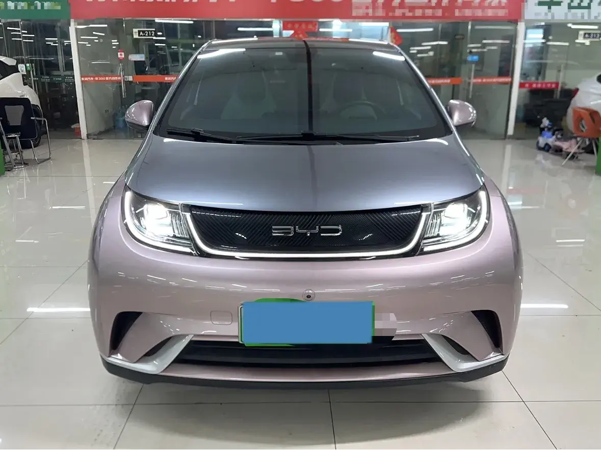 2021 BYD DOLPHIN thumbnail 2