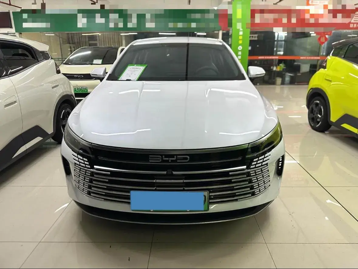 2024 BYD DESTROYER thumbnail 2