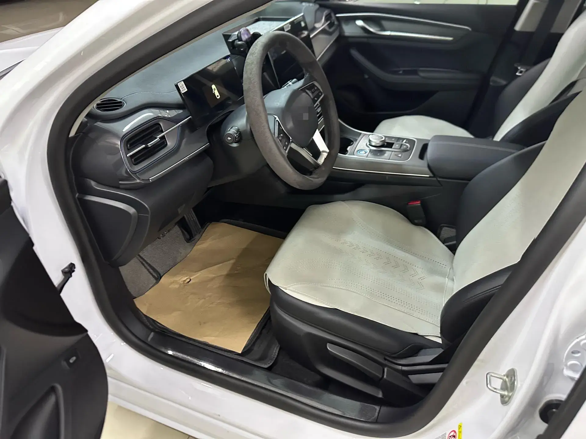 2024 BYD DESTROYER thumbnail 3