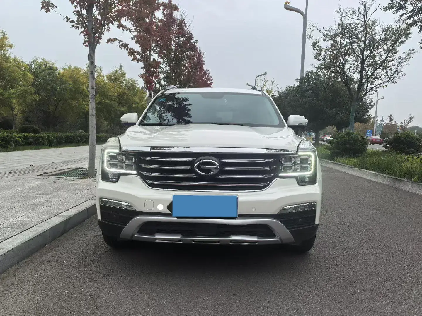 2017 GAC TRUMPCHI thumbnail 2