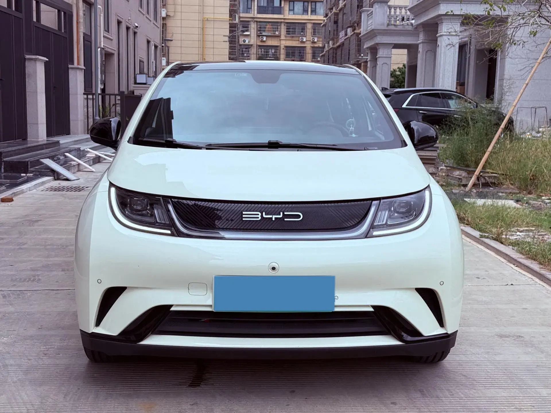 2023 BYD DOLPHIN thumbnail 2