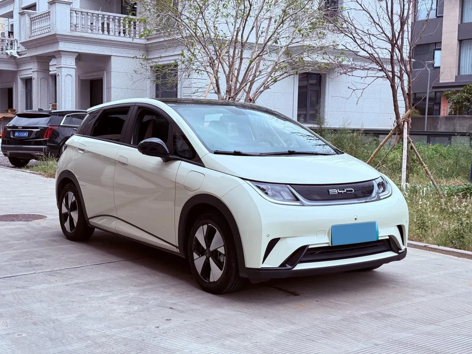 2023 BYD DOLPHIN thumbnail 3