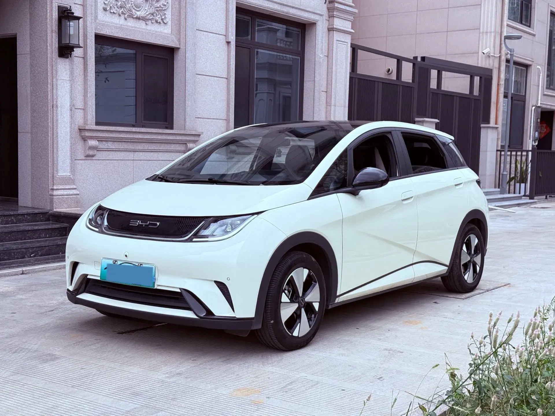 2023 BYD DOLPHIN view 1