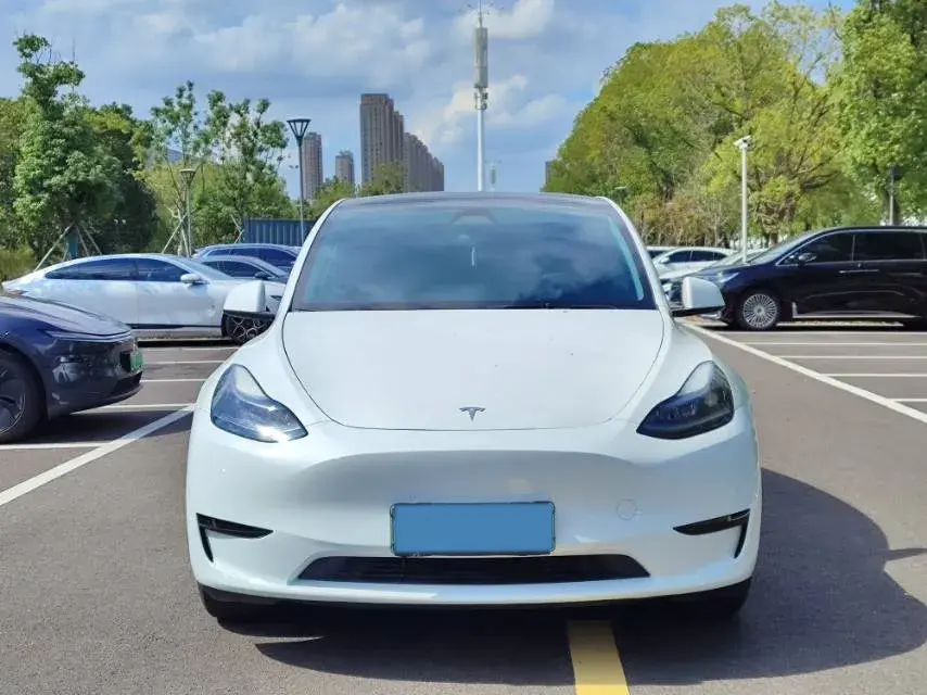 2024 TESLA MODEL thumbnail 2