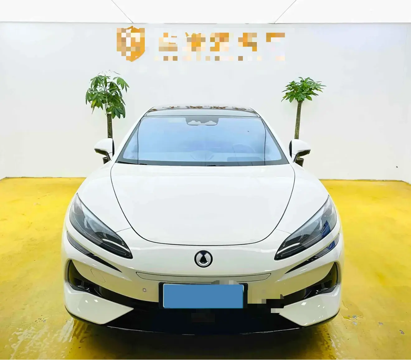 2024 DENZA DENZAZ9 thumbnail 2