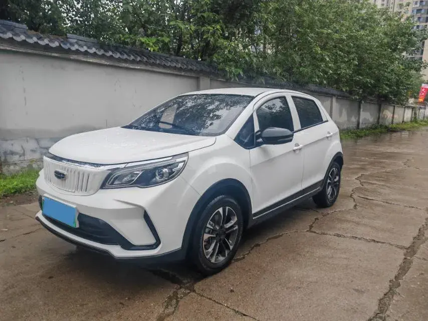 2021 Geometry EX3 BEV 37.23KWH