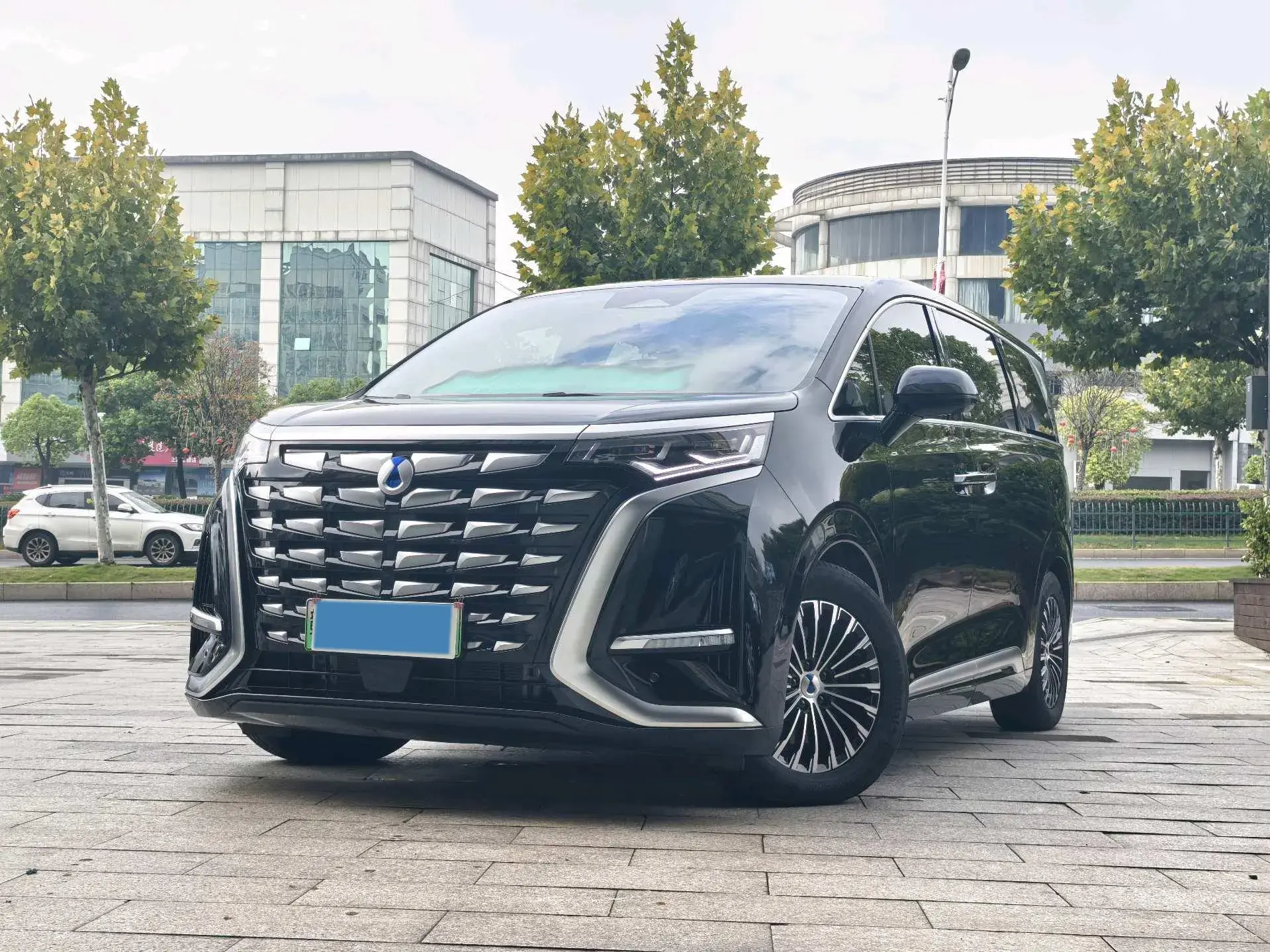 2024 DENZA D9 view 1