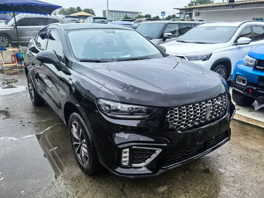 2020 WEY VV5 thumbnail 2