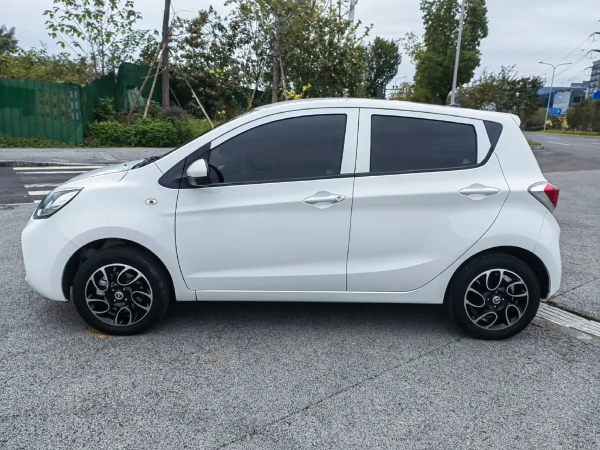 2023 ChangAn Oshan BenBen E-Star BEV 30.95KWH,autocango,china used car exporter,china ev exporter,chinese used car exporter,chinese used ev exporter