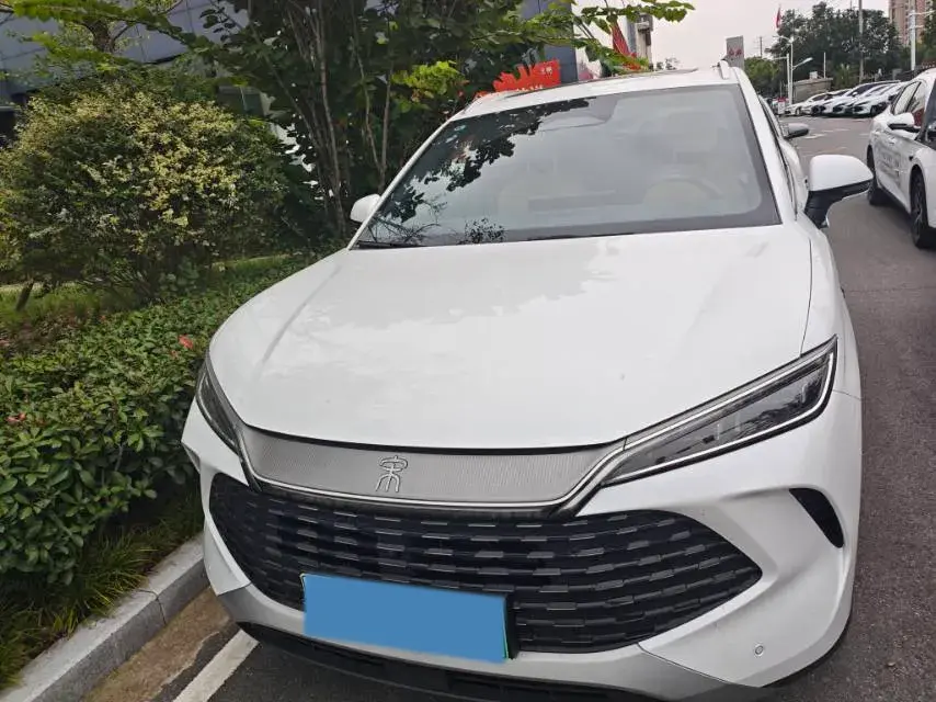 2025 BYD SONGL thumbnail 2