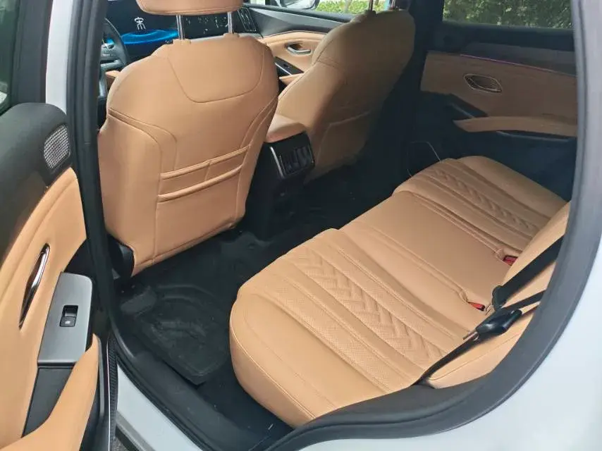 2025 BYD SONGL thumbnail 4