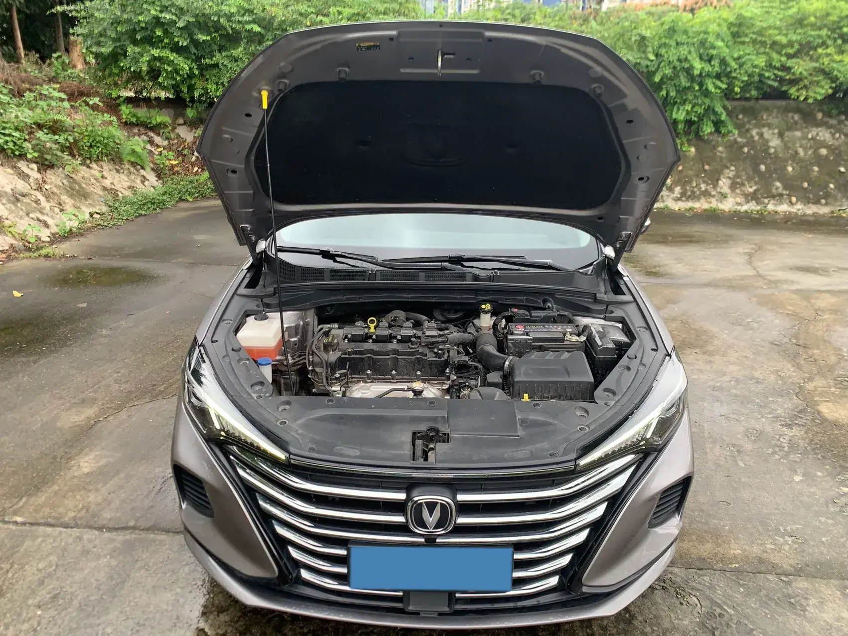 2020 CHANGAN EADO thumbnail 4