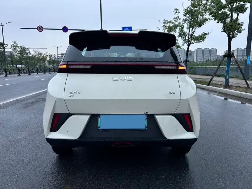 2025 BYD SEAGULL thumbnail 4