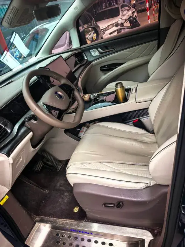 2022 DENZA D9 thumbnail 4