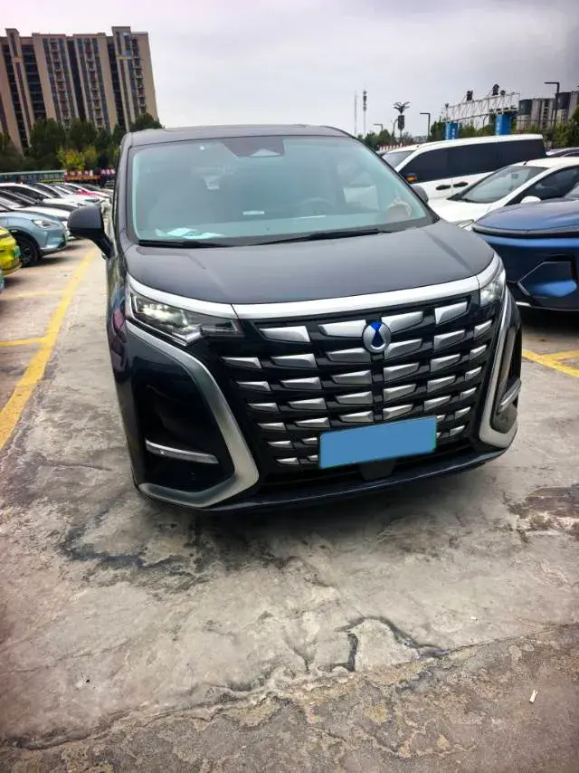 2022 DENZA D9 thumbnail 2