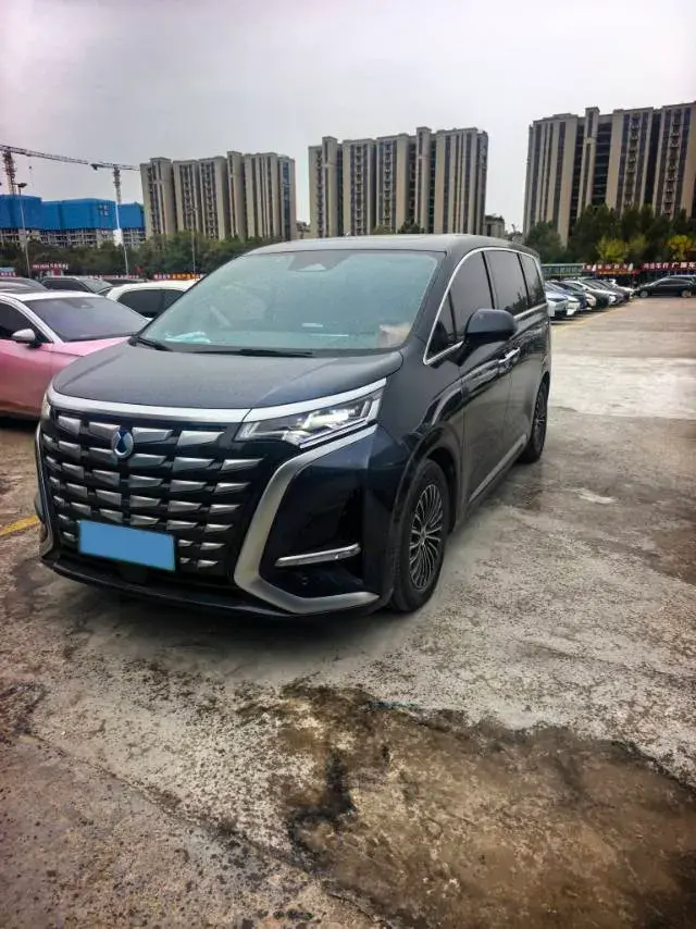 2022 DENZA D9 view 1