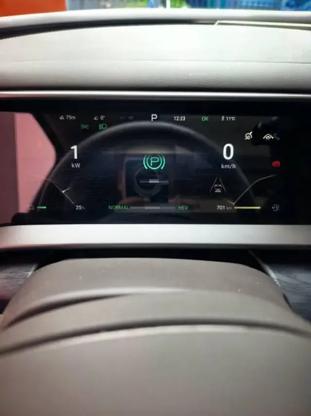 2022 DENZA D9 thumbnail 3