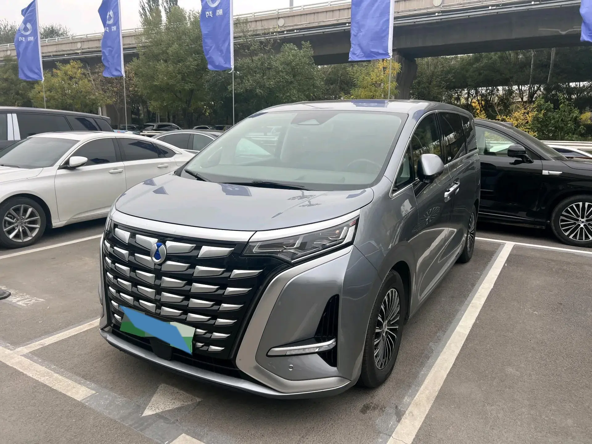 2022 DENZA D9 view 1