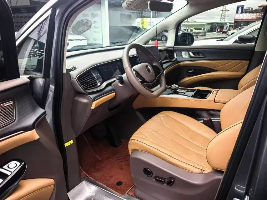 2022 DENZA D9 thumbnail 4