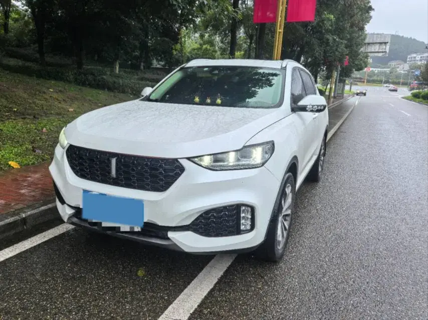 2018 WEY VV6 view 1