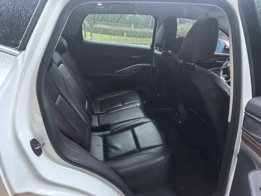 2018 WEY VV6 thumbnail 4