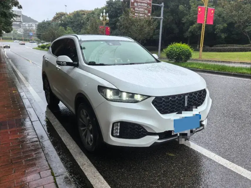 2018 WEY VV6 thumbnail 3