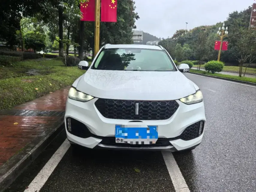 2018 WEY VV6 thumbnail 2