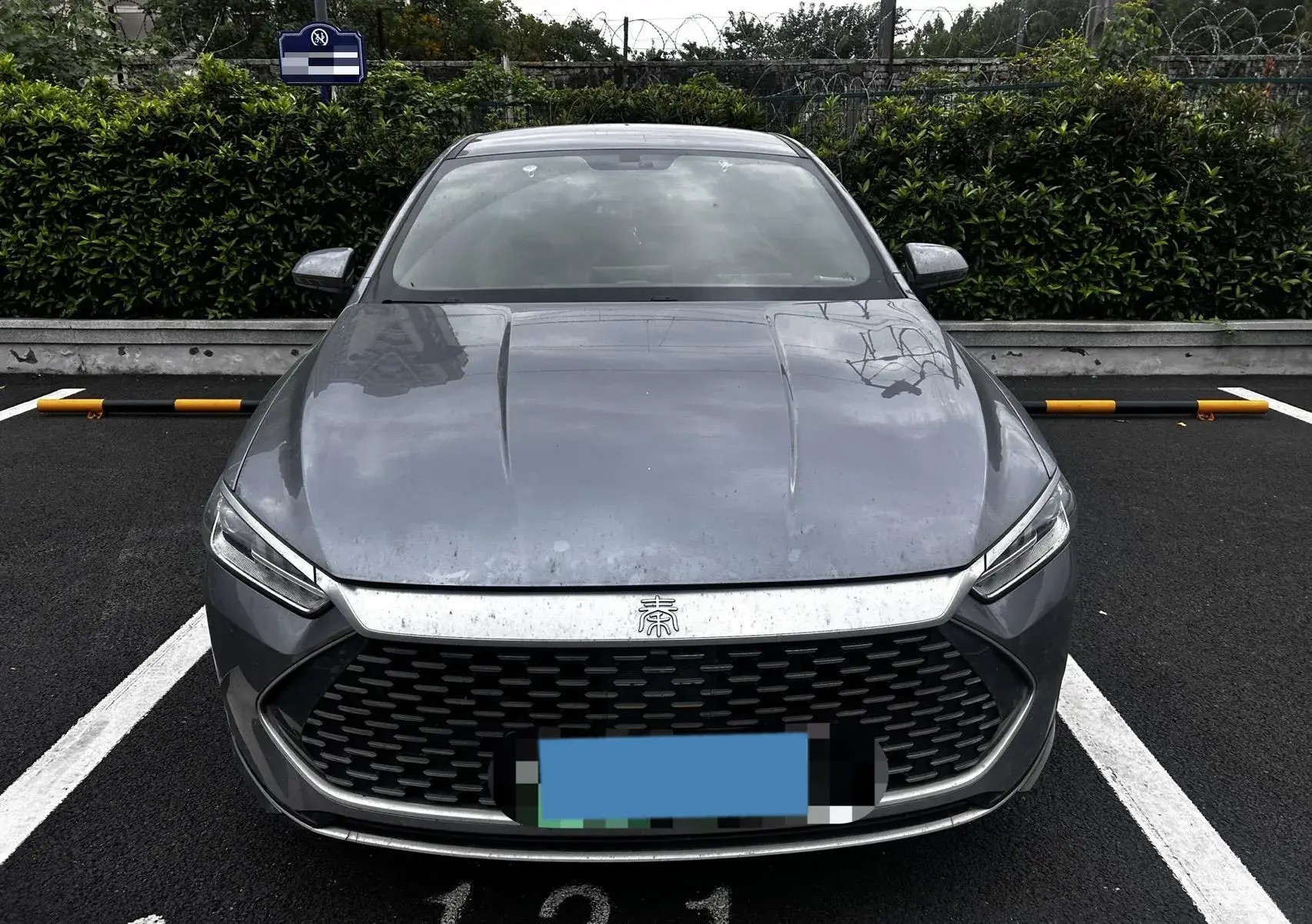 2023 BYD QIN thumbnail 2