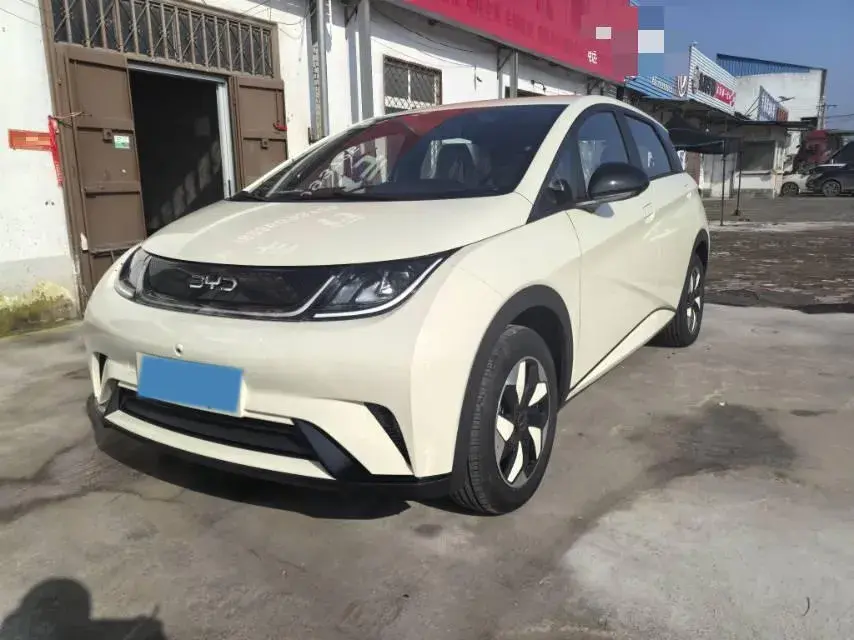 2025 BYD DOLPHIN view 1