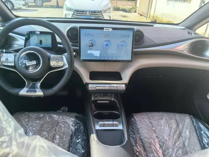 2025 BYD DOLPHIN thumbnail 2