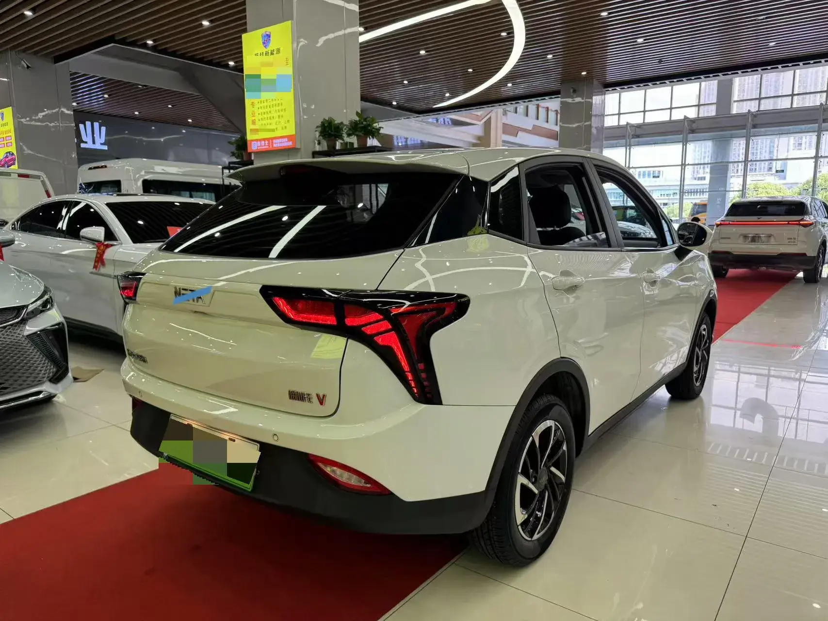 2021 NETA V thumbnail 4