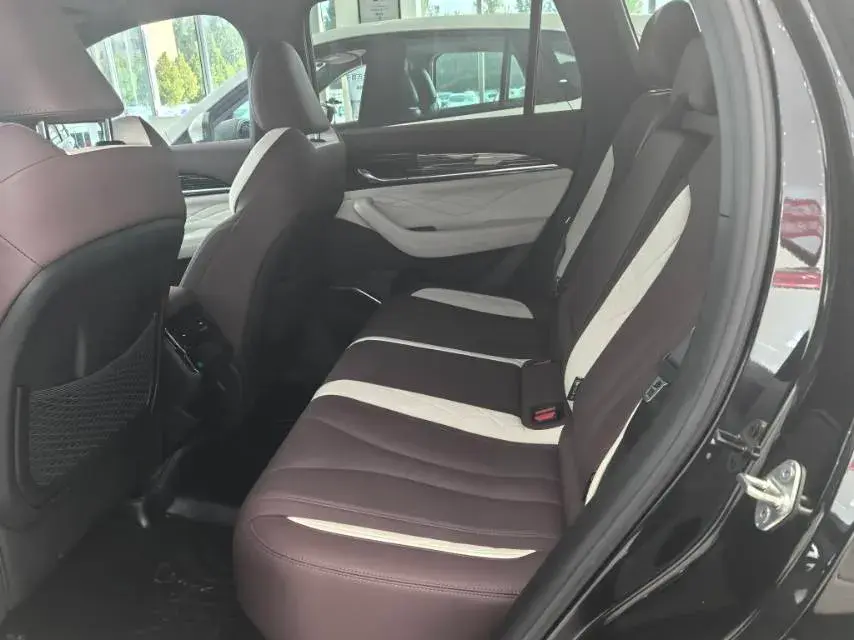 2024 GEELY MONJARO thumbnail 4