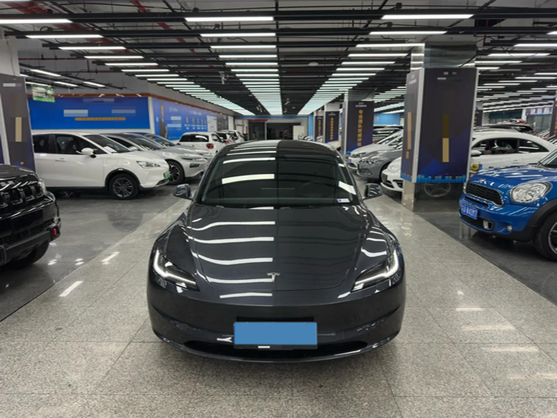 2025 TESLA MODEL thumbnail 2