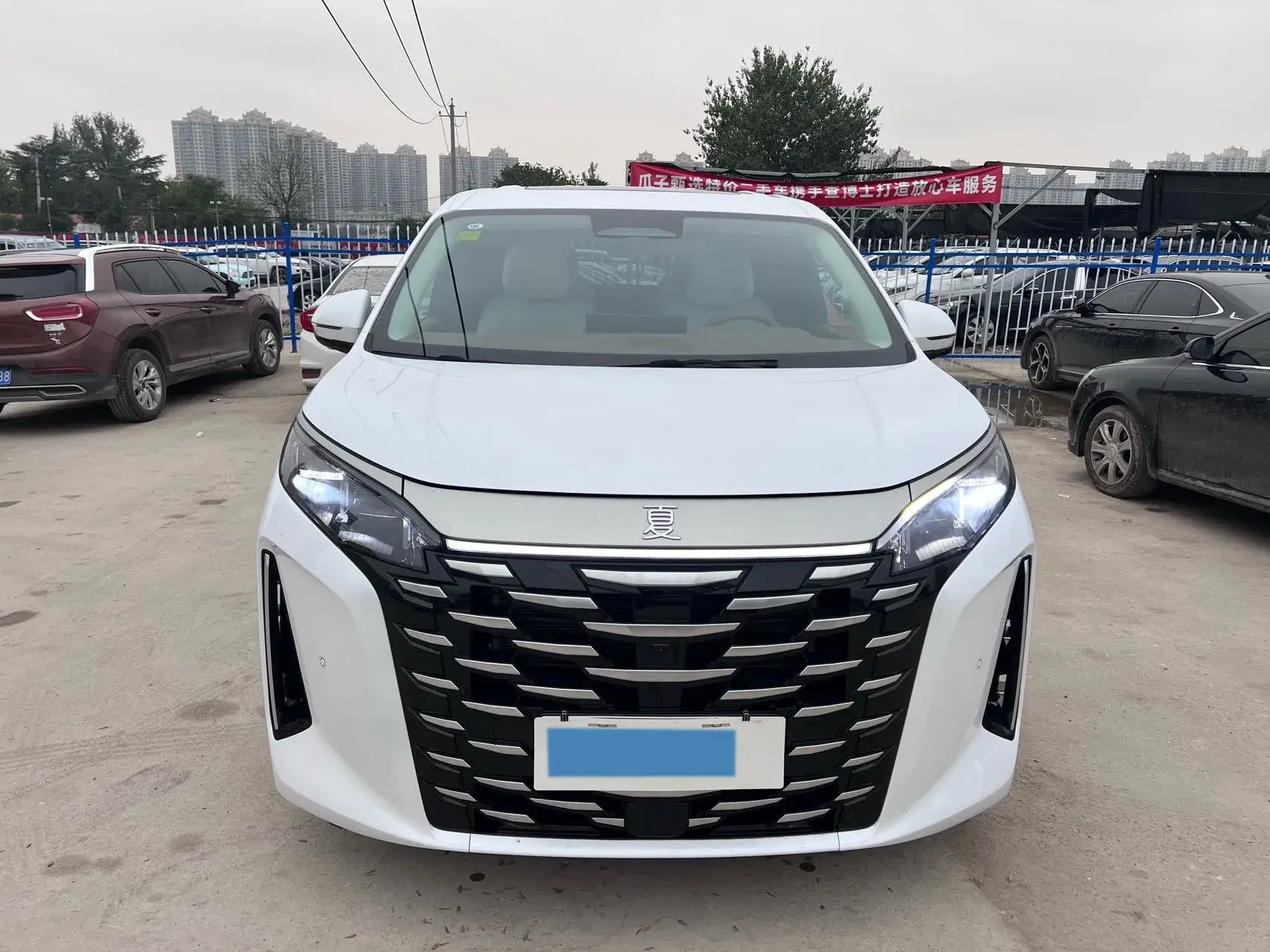 2025 BYD XIA thumbnail 2