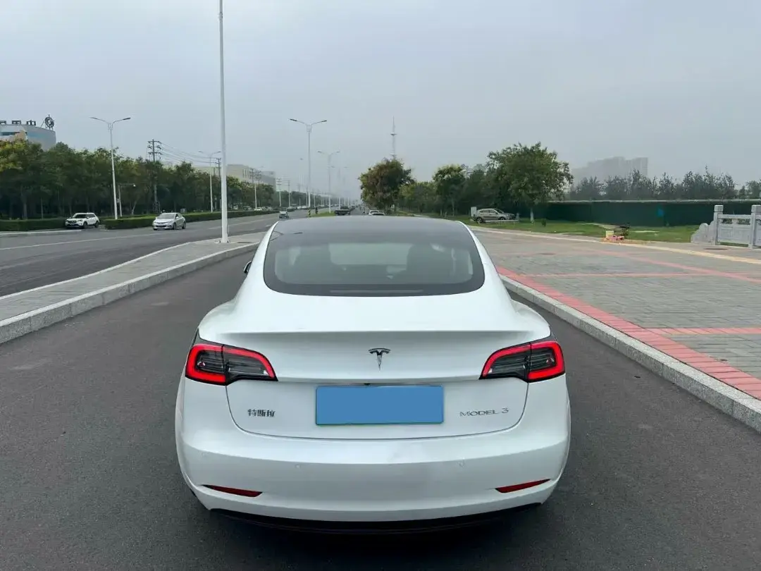 2022 TESLA MODEL thumbnail 3