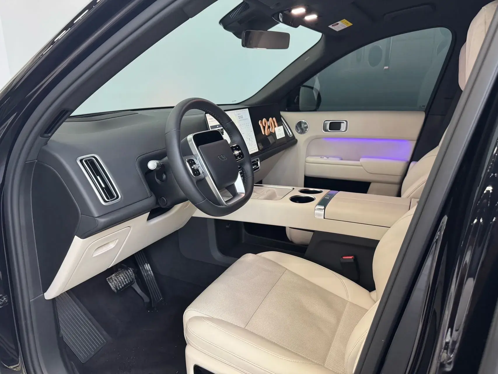 2025 LI L9 thumbnail 4