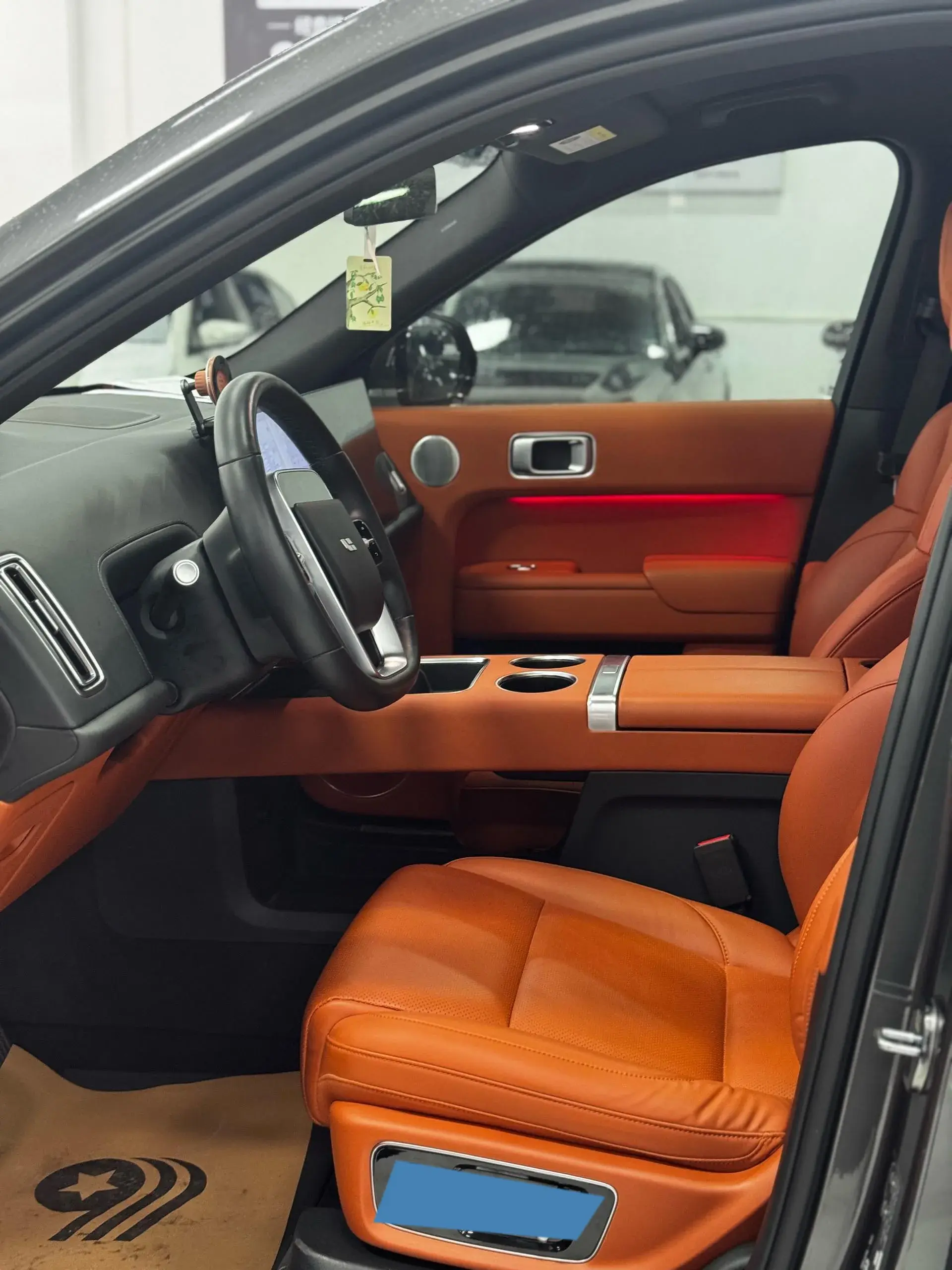 2022 LI L9 thumbnail 4