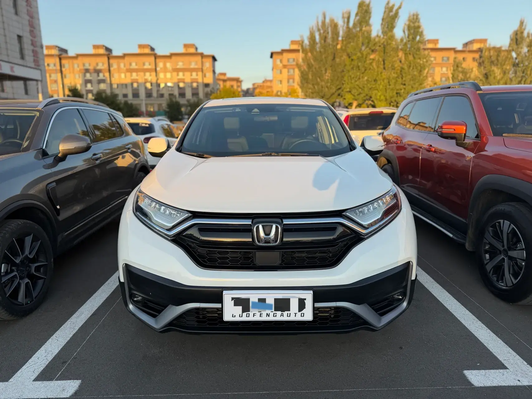 2021 HONDA CR-V thumbnail 2