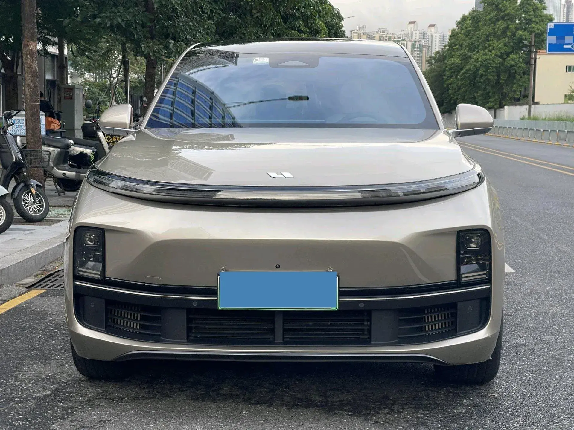 2023 LI L8 thumbnail 2