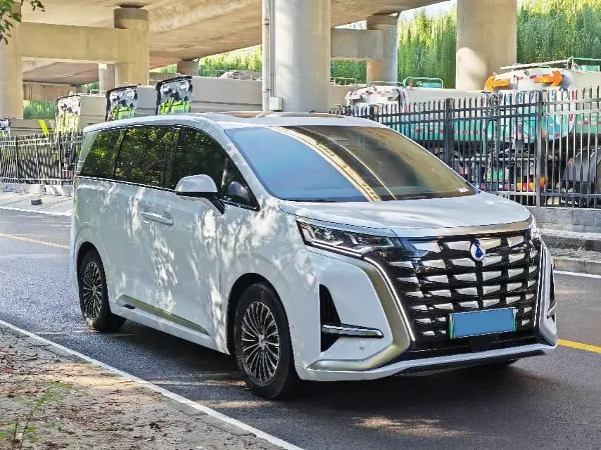 2022 DENZA D9 thumbnail 3