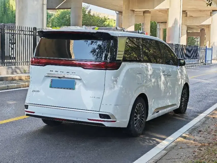 2022 DENZA D9 thumbnail 4