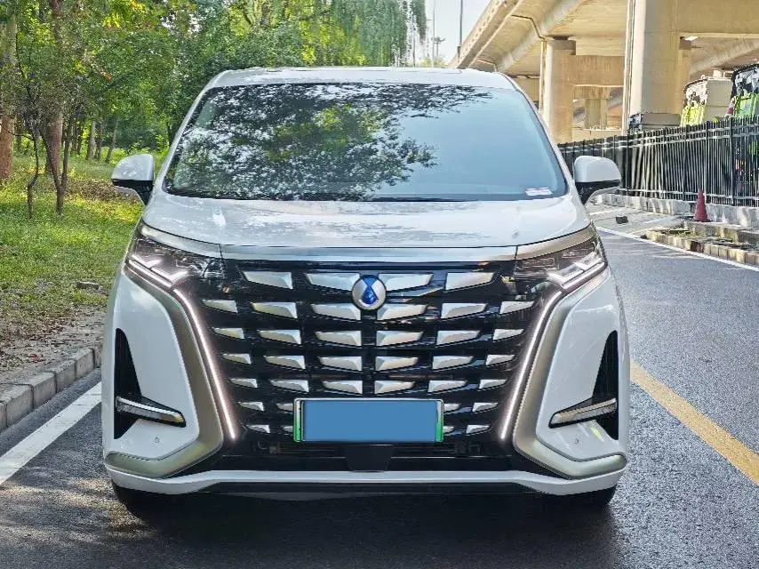 2022 DENZA D9 thumbnail 2