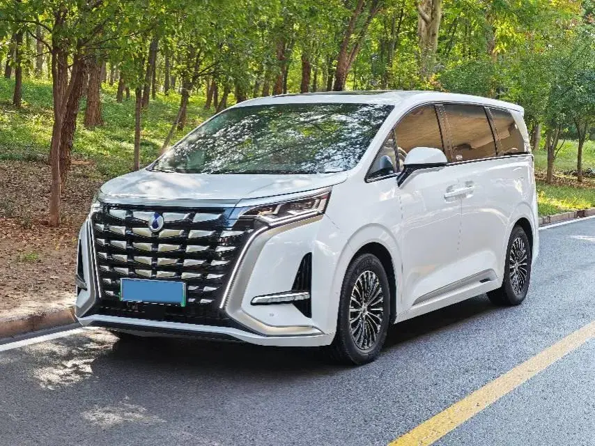 2022 DENZA D9 view 1