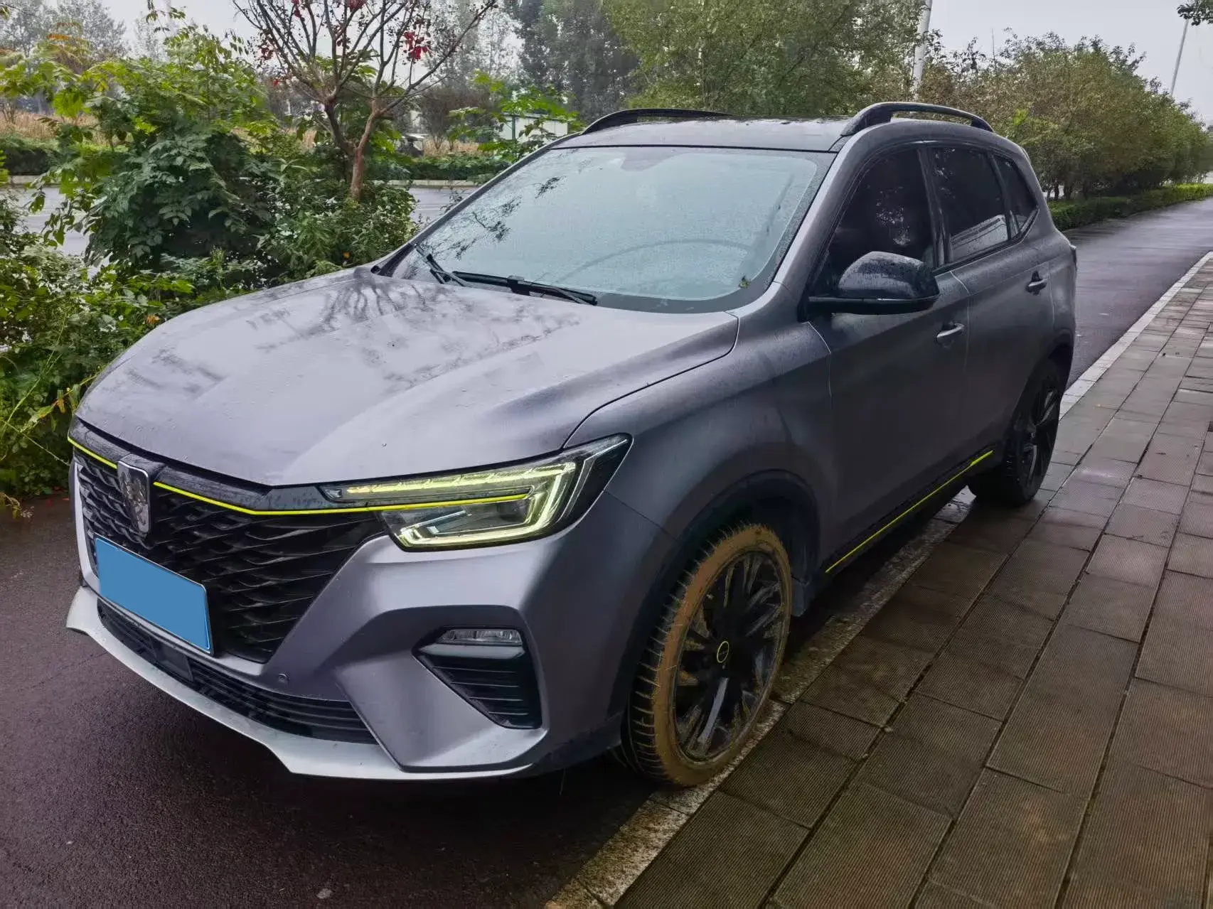 2020 ROEWE RX5 view 1