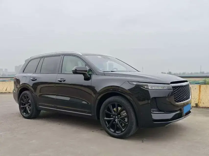 2021 LI ONE thumbnail 3