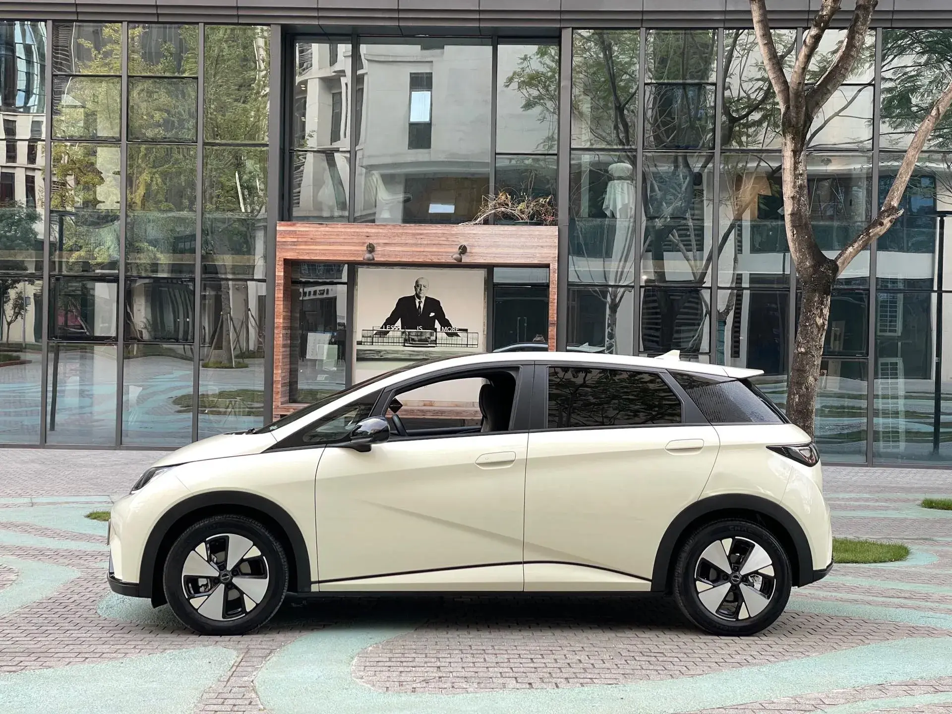 2023 BYD DOLPHIN thumbnail 2