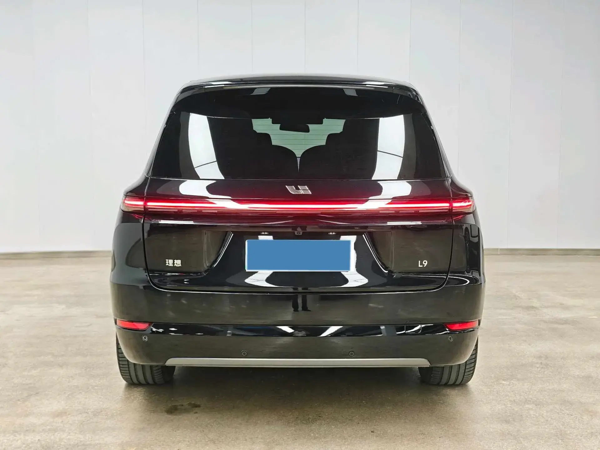 2024 LI L9 thumbnail 2