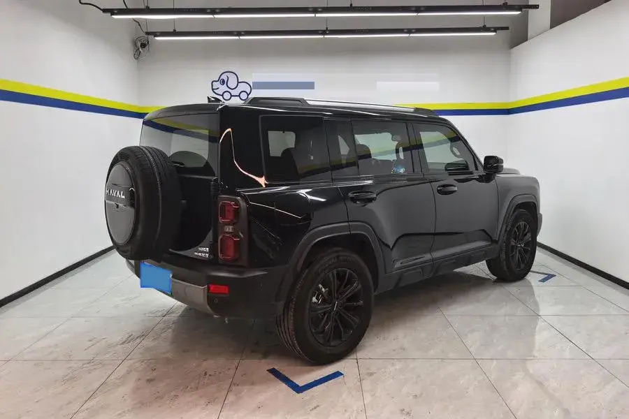 2024 HAVAL RAPTOR thumbnail 2